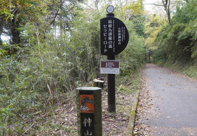 九頭龍神社（箱根町）｜芦ノ湖の神秘的なパワースポットと龍神信仰の歴史を完全ガイド