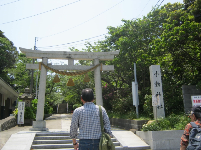 Koyurugi-jinja Shrine｜Complete guide to the history, highlights, and worship information of this historic shrine