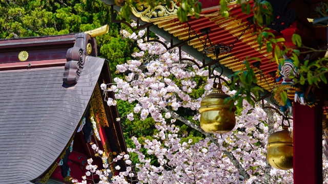 志波彦神社・鹽竈神社の社務所｜御朱印や祈祷受付の利用案内と神社運営の要を詳しく解説