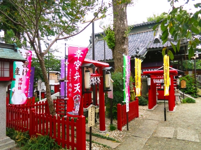 鴻神社｜由緒ある神社の歴史と見どころ、参拝情報を完全ガイド
