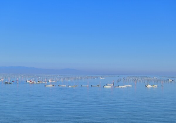 たらふく丼とは？その魅力と由来、佐賀・太良町のご当地グルメを詳しく解説