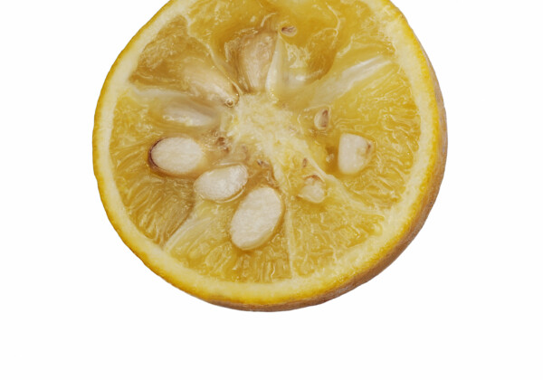 日向夏とは？その魅力と歴史、おすすめレシピなど詳しく解説（Shutterstock / contributor: 301540237）