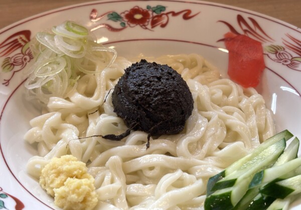 はじめての盛岡じゃじゃ麺。平打ち麺と肉味噌が織りなすソウルフードの味わい