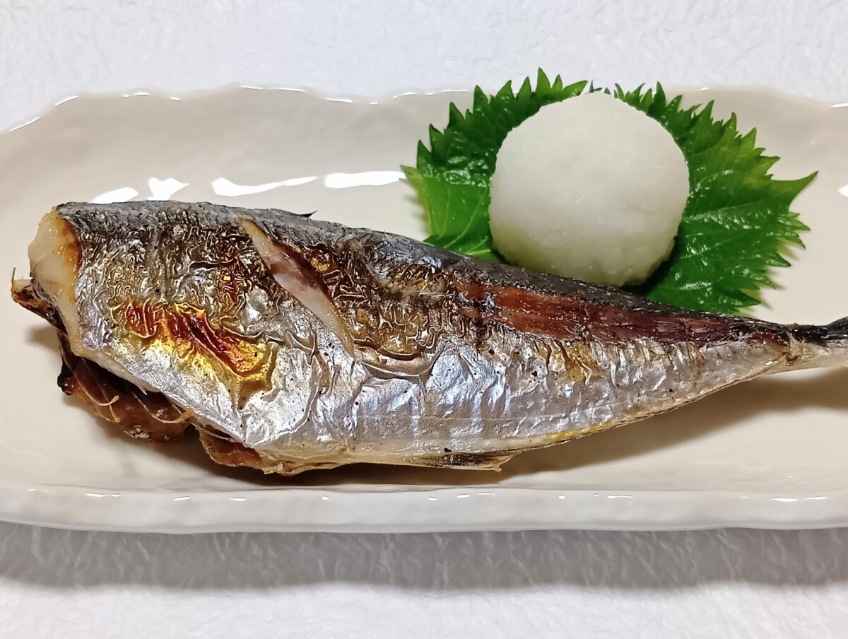 山陰の冬を旅する。松葉がに、その赤い爪に宿るもの