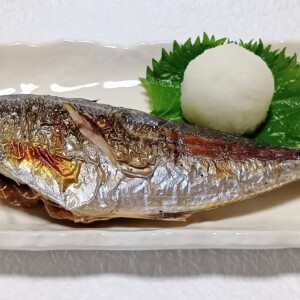 山陰の冬を旅する。松葉がに、その赤い爪に宿るもの