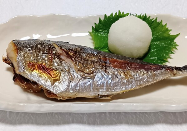 山陰の冬を旅する。松葉がに、その赤い爪に宿るもの