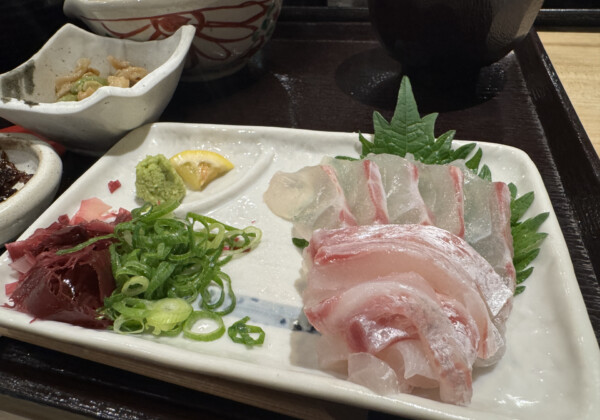 愛媛の鯛めし、2つの味を楽しむ旅へ。南予・中予それぞれの食べ方ガイド