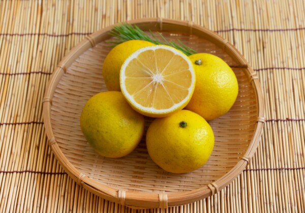 日向夏とは？その魅力と歴史、おすすめレシピなど詳しく解説