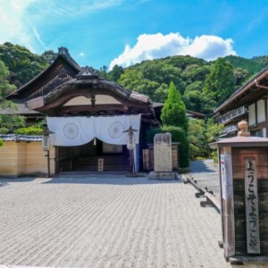 圓満院庭園｜皇室ゆかりの門跡寺院で楽しむ相阿弥作庭の美しい日本庭園、拝観案内を徹底紹介