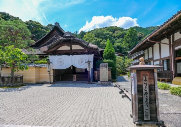 圓満院庭園｜皇室ゆかりの門跡寺院で楽しむ相阿弥作庭の美しい日本庭園、拝観案内を徹底紹介