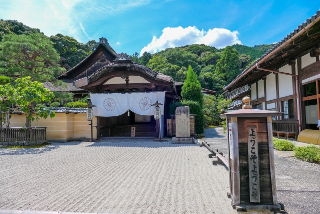 圓満院庭園｜皇室ゆかりの門跡寺院で楽しむ相阿弥作庭の美しい日本庭園、拝観案内を徹底紹介