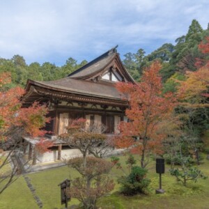 西明寺本坊庭園「蓬萊庭」｜国指定名勝の美しい日本庭園の魅力と見どころ、拝観案内を徹底紹介