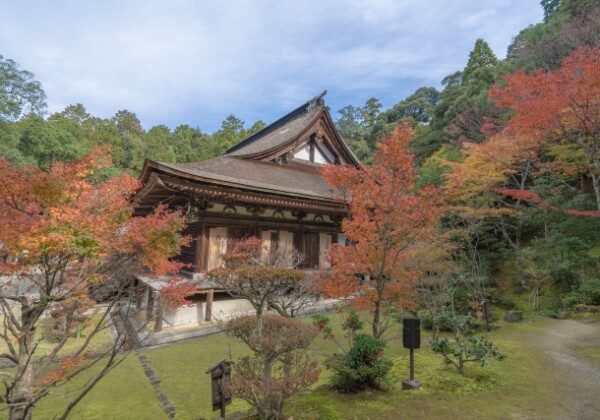 西明寺本坊庭園「蓬萊庭」｜国指定名勝の美しい日本庭園の魅力と見どころ、拝観案内を徹底紹介