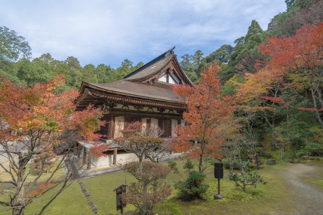 西明寺本坊庭園「蓬萊庭」｜国指定名勝の美しい日本庭園の魅力と見どころ、拝観案内を徹底紹介