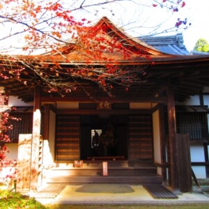 金剛輪寺明壽院庭園｜近江路一の美しい日本庭園の魅力と見どころ、拝観案内を徹底紹介