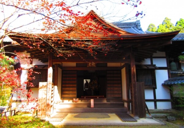 金剛輪寺明壽院庭園｜近江路一の美しい日本庭園の魅力と見どころ、拝観案内を徹底紹介
