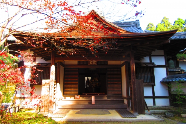 金剛輪寺明壽院庭園｜近江路一の美しい日本庭園の魅力と見どころ、拝観案内を徹底紹介