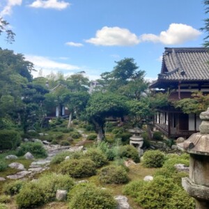 天野山金剛寺本坊庭園｜美しい日本庭園の魅力と見どころ、拝観案内を徹底紹介