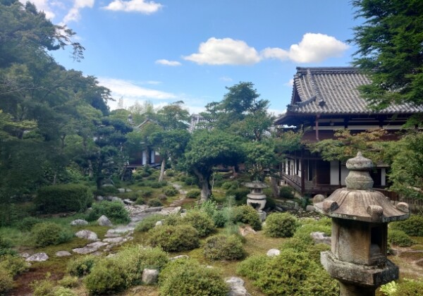 天野山金剛寺本坊庭園｜美しい日本庭園の魅力と見どころ、拝観案内を徹底紹介