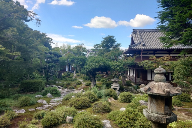天野山金剛寺本坊庭園｜美しい日本庭園の魅力と見どころ、拝観案内を徹底紹介