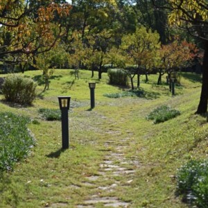旧藤田邸庭園（藤田邸跡公園）｜明治の財閥邸宅庭園が蘇る歴史と自然が織りなす名所を完全ガイド