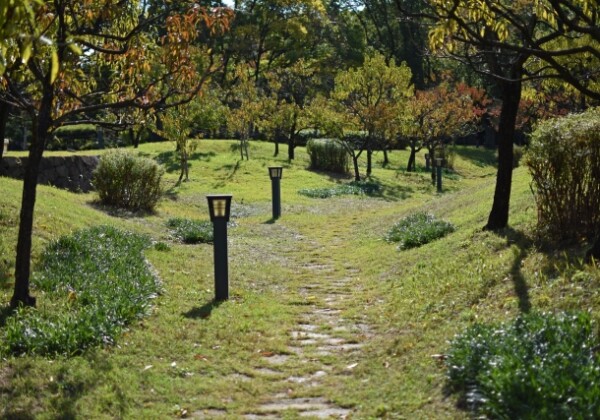 旧藤田邸庭園（藤田邸跡公園）｜明治の財閥邸宅庭園が蘇る歴史と自然が織りなす名所を完全ガイド
