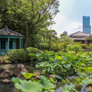 四天王寺本坊庭園｜聖徳太子ゆかりの古刹に佇む極楽浄土の庭園を完全ガイド