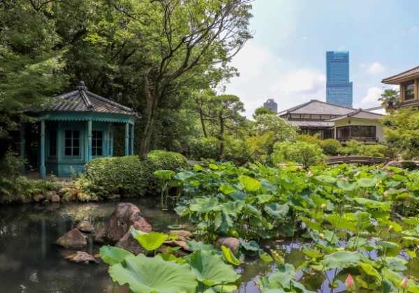 四天王寺本坊庭園｜聖徳太子ゆかりの古刹に佇む極楽浄土の庭園を完全ガイド