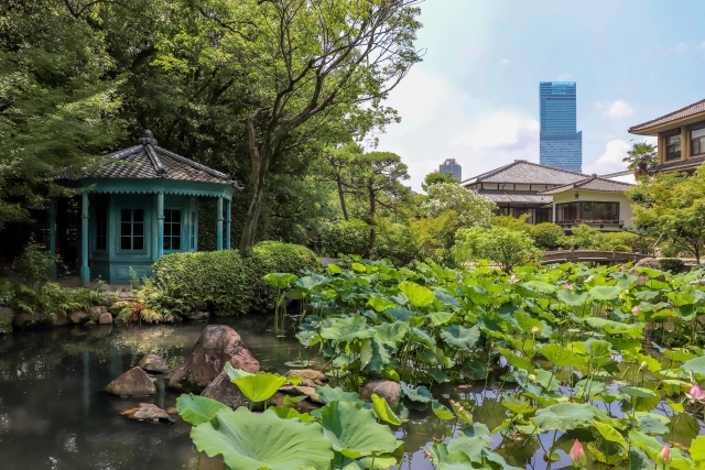 四天王寺本坊庭園｜聖徳太子ゆかりの古刹に佇む極楽浄土の庭園を完全ガイド
