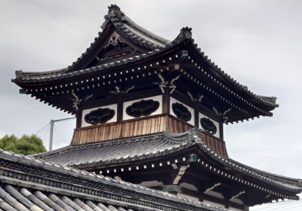 願泉寺庭園｜室町の美を今に伝える大阪府指定名勝、都市部に残る枯山水庭園の魅力を完全ガイド