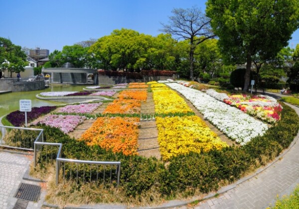 住吉大社庭園｜住吉大社の歴史ある庭園の魅力と見どころ、参拝案内を詳しく解説