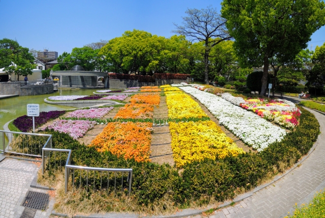 住吉大社庭園|住吉大社の歴史ある庭園の魅力と見どころ、参拝案内を詳しく解説