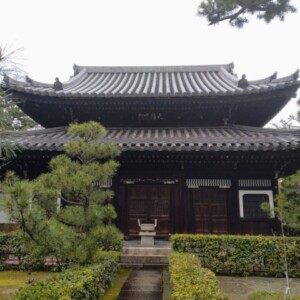 南宗寺庭園｜古田織部作庭と伝わる名勝枯山水の魅力と拝観案内を詳しく解説