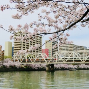 毛馬桜之宮公園｜大川沿いに広がる水と桜の名所、散策・ジョギングコースを完全ガイド