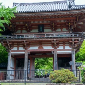 久安寺｜歴史ある古刹の魅力と美しい庭園、季節の花々と参拝案内を完全ガイド