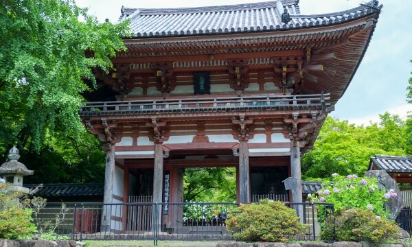 久安寺｜歴史ある古刹の魅力と美しい庭園、季節の花々と参拝案内を完全ガイド
