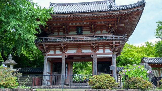 久安寺|歴史ある古刹の魅力と美しい庭園、季節の花々と参拝案内を完全ガイド