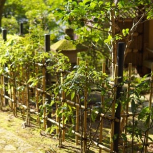 楠妣庵観音寺｜楠木正成夫人ゆかりの古刹と美しい紅葉庭園の魅力を完全ガイド