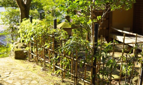 楠妣庵観音寺｜楠木正成夫人ゆかりの古刹と美しい紅葉庭園の魅力を完全ガイド