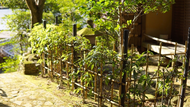 楠妣庵観音寺｜楠木正成夫人ゆかりの古刹と美しい紅葉庭園の魅力を完全ガイド