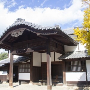 玄宮楽々園｜彦根城下に広がる美しい日本庭園の魅力と見どころ、拝観案内を徹底紹介