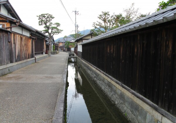 五個荘近江商人屋敷 藤井彦四郎邸｜豪商の歴史と雄大な庭園が織りなす近江商人屋敷の魅力を完全ガイド
