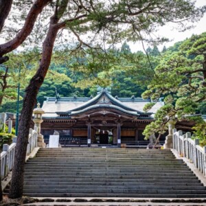 函館八幡宮｜由緒ある神社の歴史と見どころ、参拝情報を完全ガイド