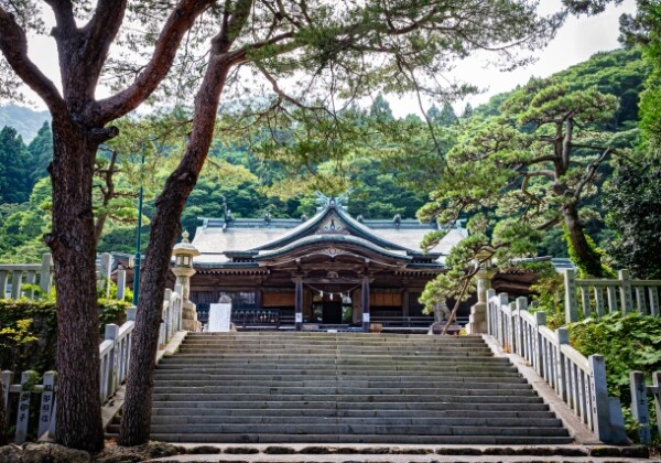 函館八幡宮｜由緒ある神社の歴史と見どころ、参拝情報を完全ガイド