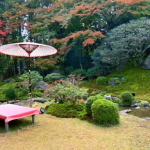 旧竹林院庭園｜国指定名勝「延暦寺坂本里坊庭園」最大規模の池泉回遊式庭園を完全ガイド