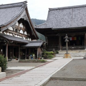 浄信寺庭園（木之本地蔵院）｜国指定名勝の日本庭園と日本三大地蔵尊の魅力を完全ガイド