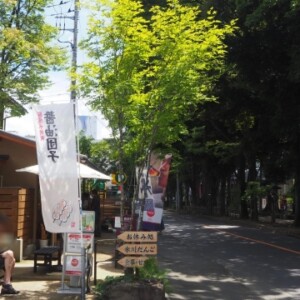 武蔵一宮氷川神社｜日本一長い参道を持つ由緒ある古社の歴史と見どころ、参拝情報を完全ガイド