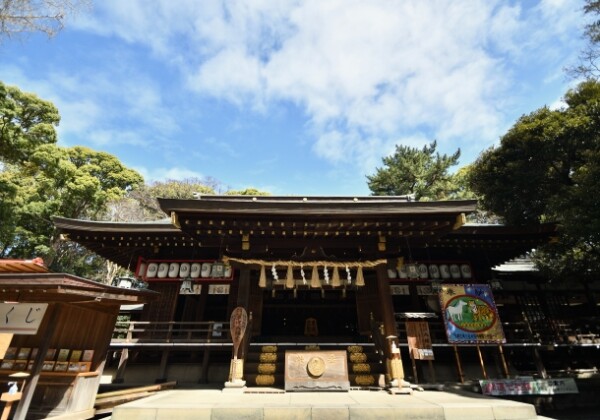 平塚八幡宮｜由緒ある神社の歴史と見どころ、参拝情報を完全ガイド