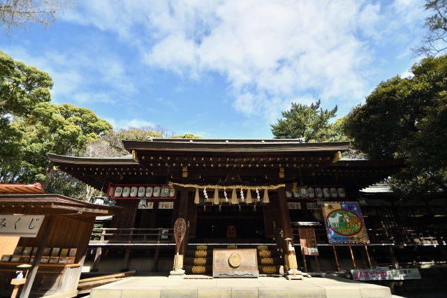 平塚八幡宮|由緒ある神社の歴史と見どころ、参拝情報を完全ガイド