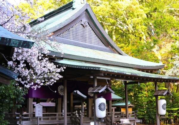 Kamakura-no-miya｜Complete guide to the history, highlights, and worship information of this historic shrine